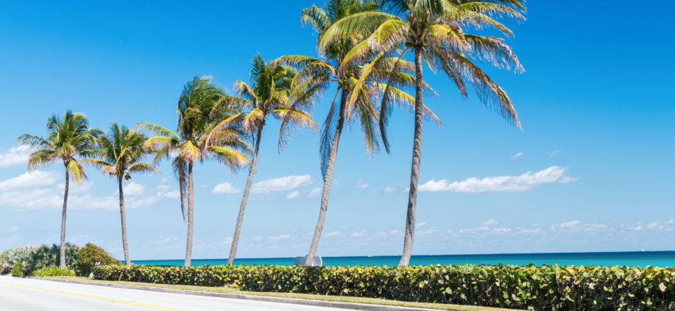 Is Living in Humid Weather Good for Your Skin?